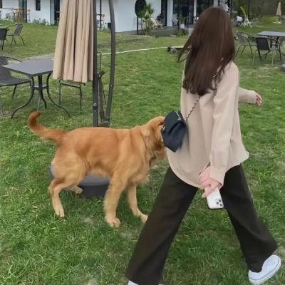 沉睡的巨人